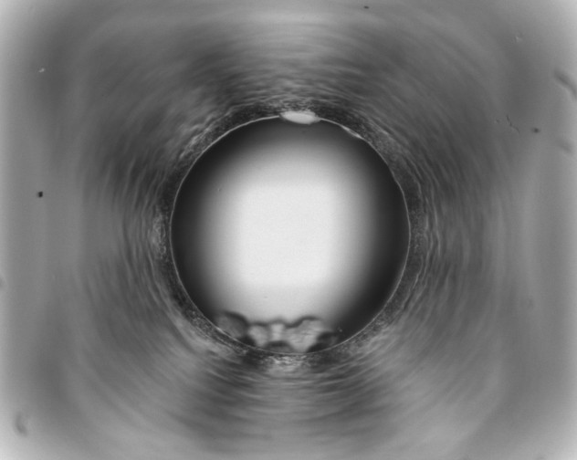 X0000094940088200712201124