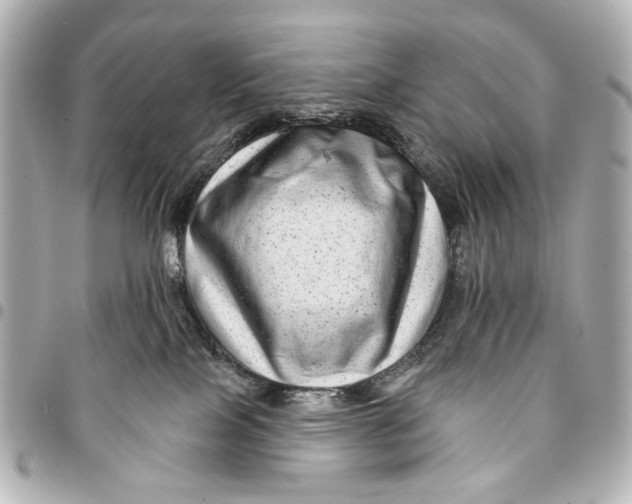 X0000094940089200712201124