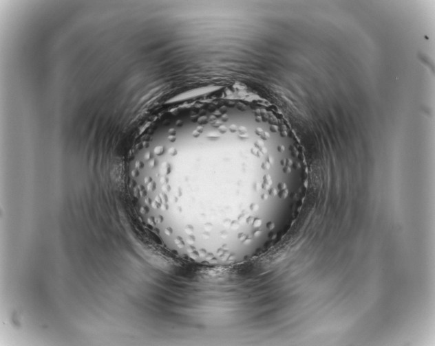 X0000094940092200712201124