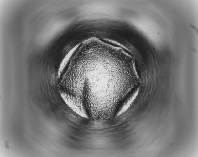 X0000094940093200712201124