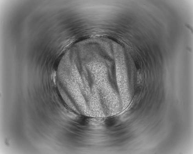 X0000094940094200712201124