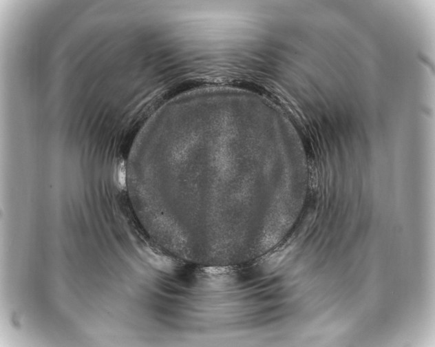 X0000094940095200712201124