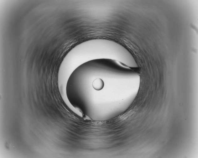 X0000094940096200712201124