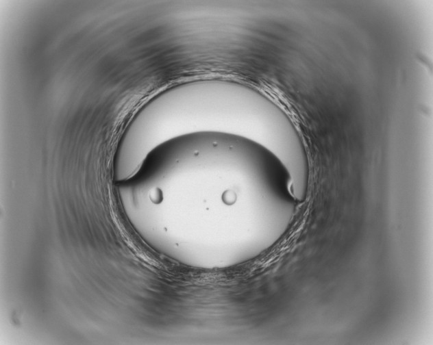 X0000094940097200712201124