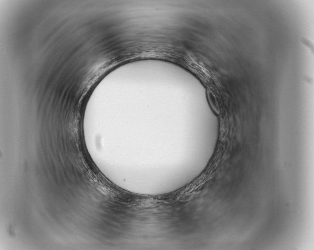 X0000094940098200712201124