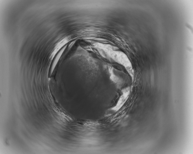 X0000094940099200712201124