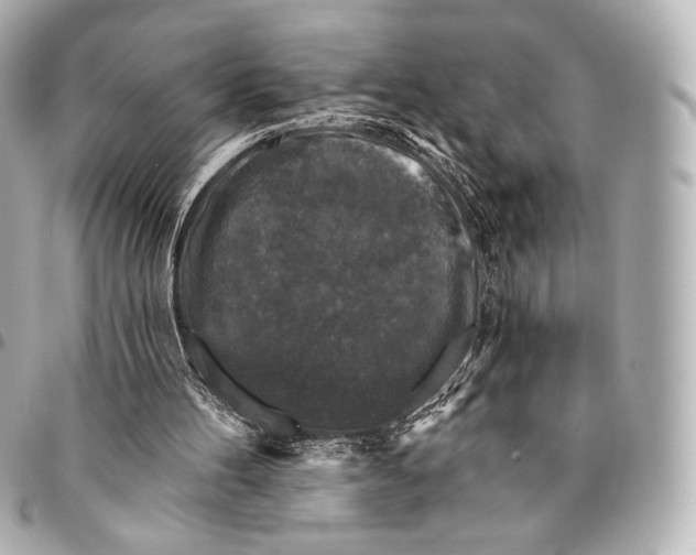 X0000094940100200712201124