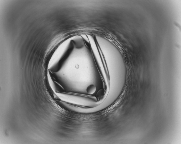 X0000094940101200712201124