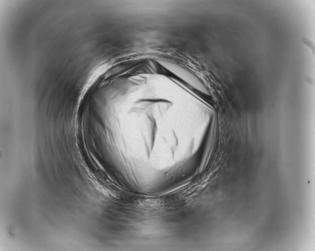 X0000094940102200712201124