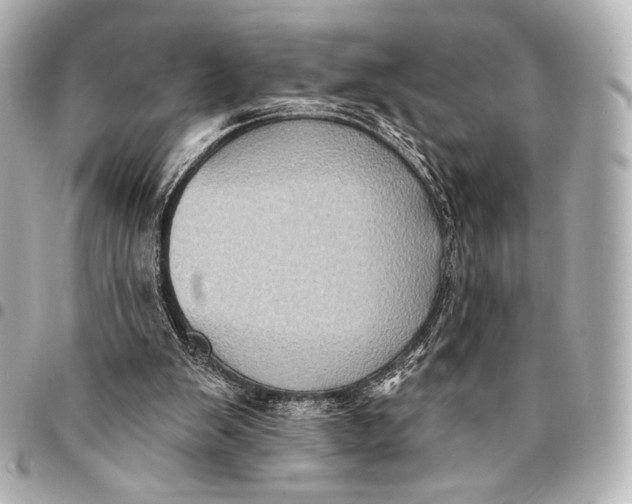 X0000094940103200712201124