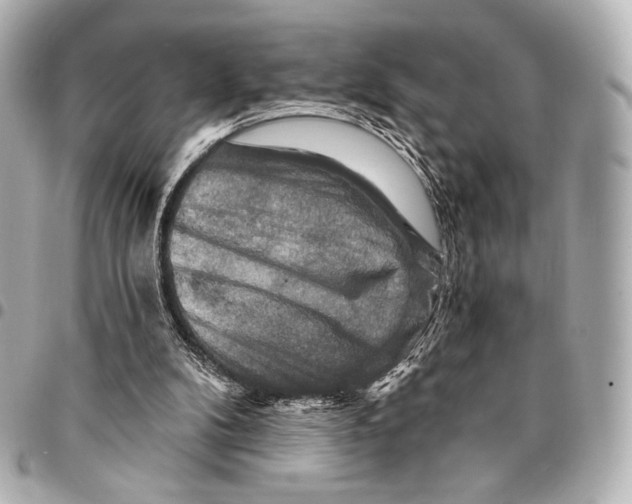 X0000094940104200712201123