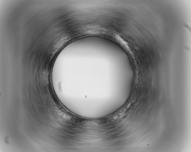 X0000094940106200712201123