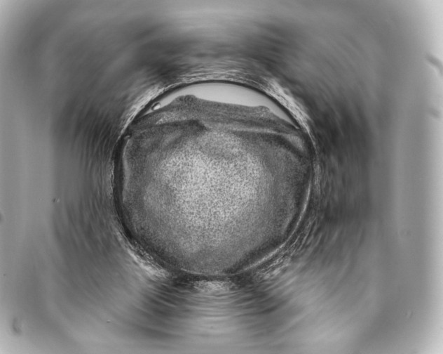 X0000094940107200712201123