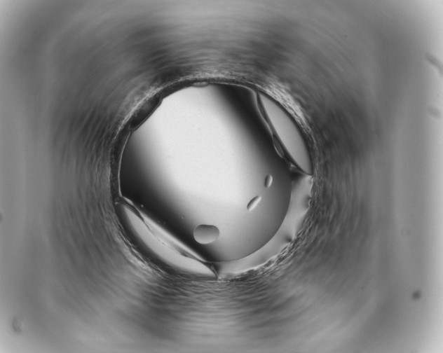 X0000094940108200712201123