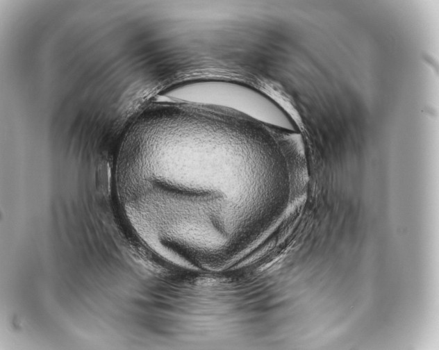 X0000094940109200712201123