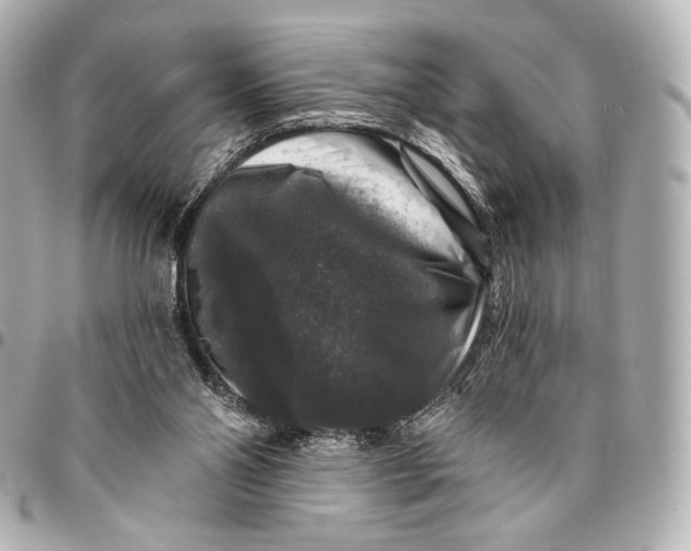 X0000094940110200712201123