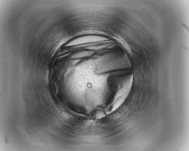 X0000094940111200712201123