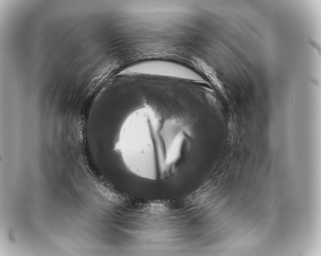 X0000094940114200712201123