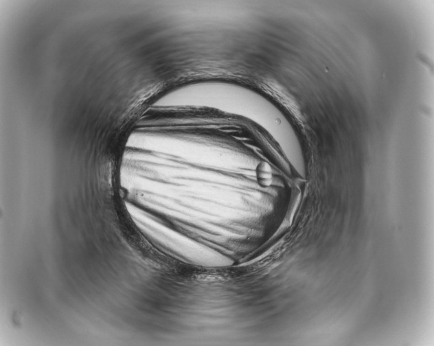 X0000094940115200712201123