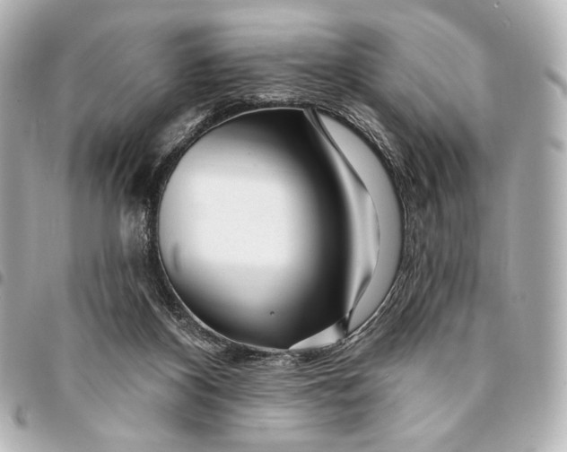 X0000094940116200712201123