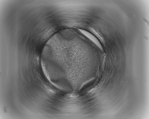 X0000094940117200712201123