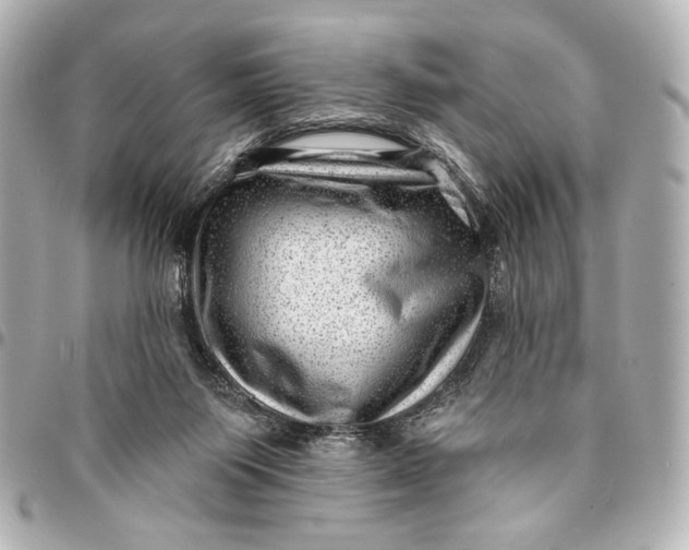 X0000094940119200712201123