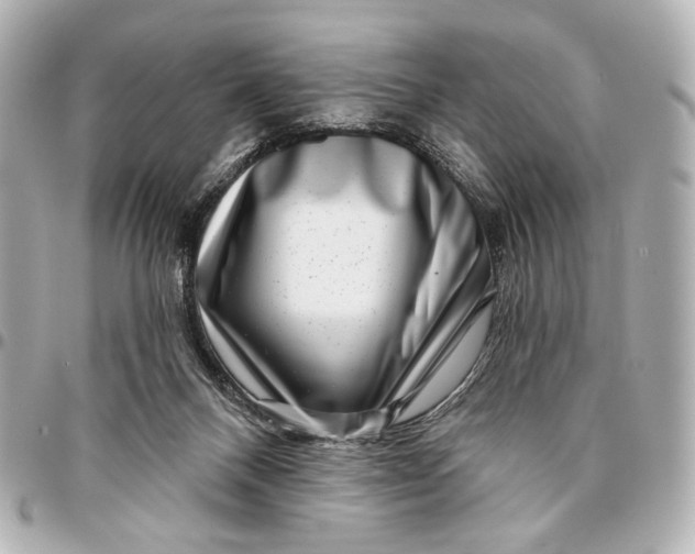 X0000094940120200712201123