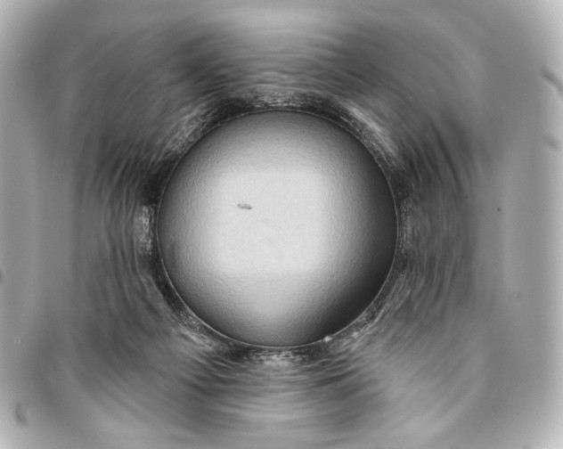 X0000094940121200712201123