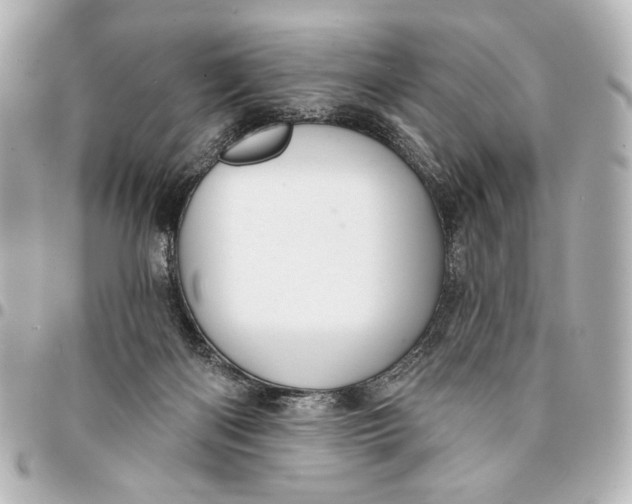 X0000094940122200712201123