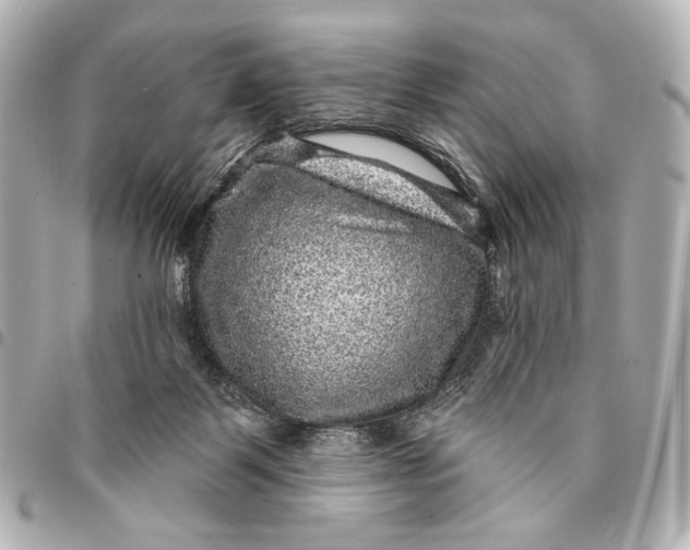 X0000094940123200712201123