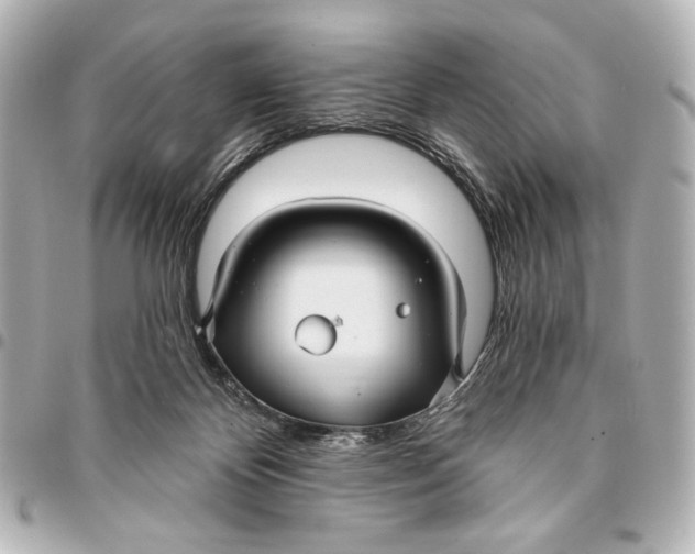 X0000094940124200712201123