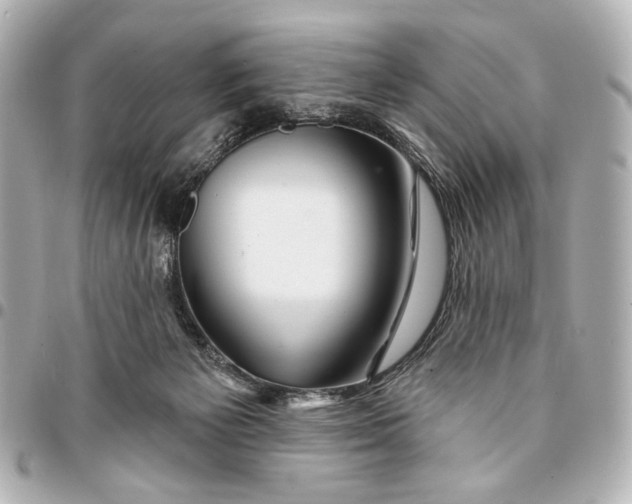 X0000094940125200712201123