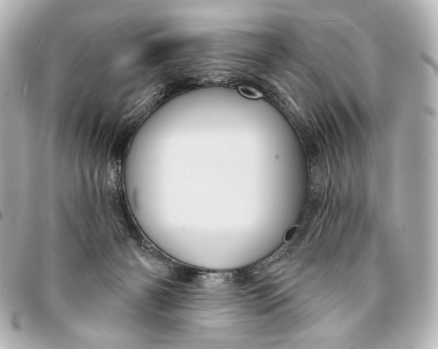 X0000094940126200712201123