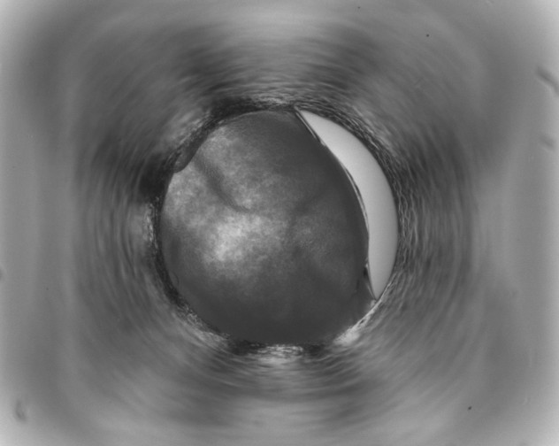 X0000094940128200712201123