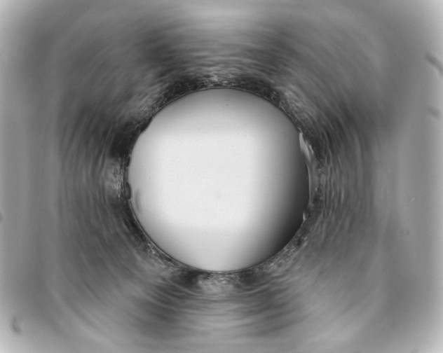 X0000094940129200712201123