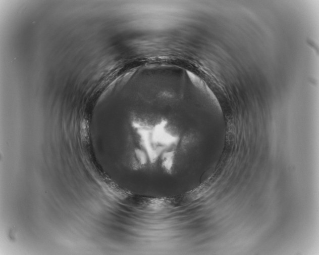 X0000094940130200712201123