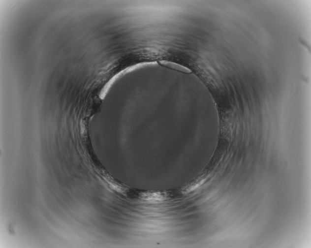 X0000094940131200712201123