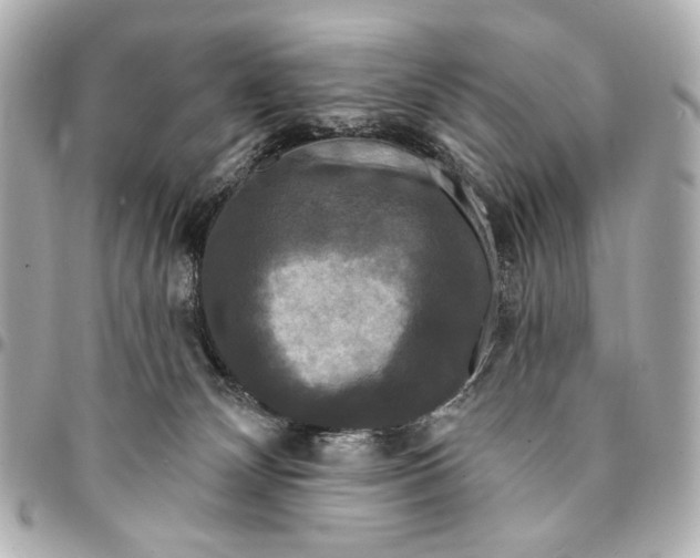 X0000094940132200712201123