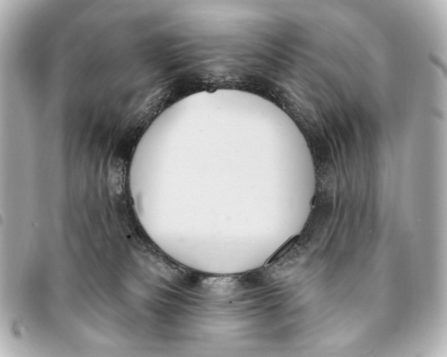 X0000094940133200712201123