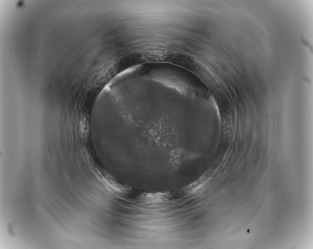 X0000094940134200712201123