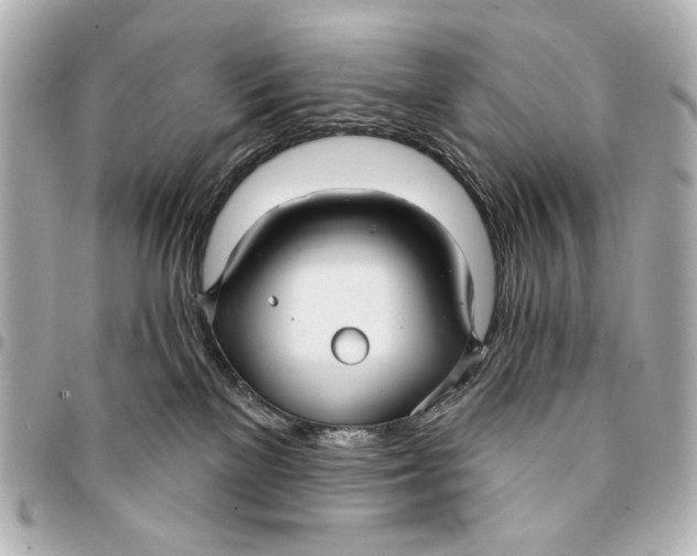 X0000094940137200712201123