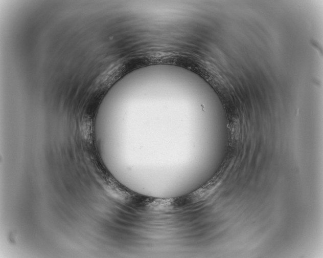 X0000094940138200712201123