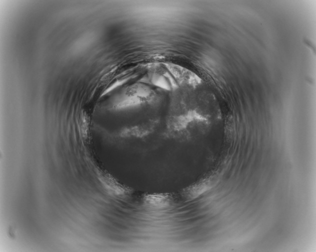 X0000094940139200712201123