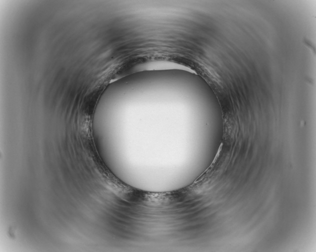 X0000094940141200712201123