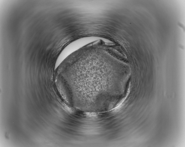 X0000094940144200712201123