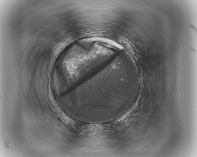 X0000094940145200712201122