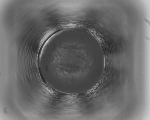 X0000094940147200712201122