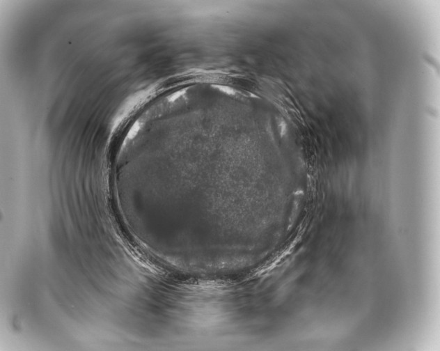 X0000094940149200712201122