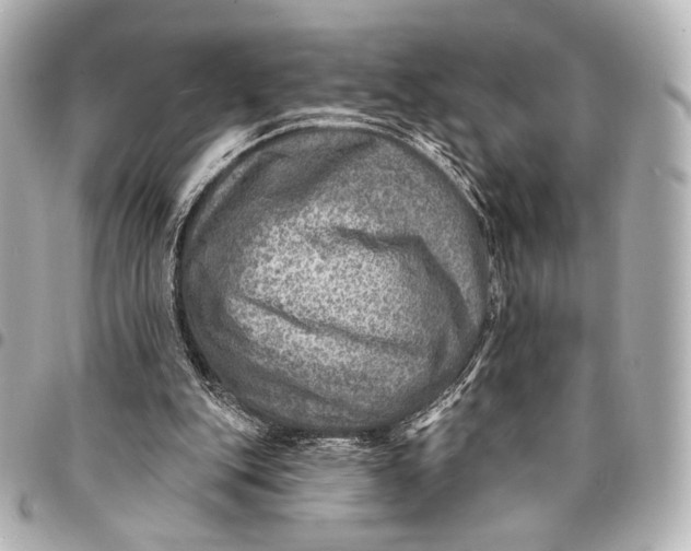 X0000094940151200712201122