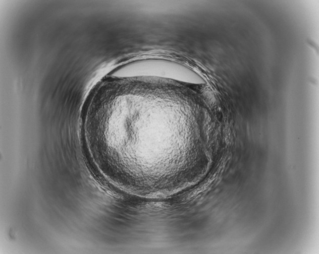 X0000094940152200712201122